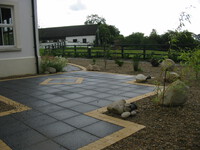Patio specimen plants