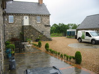 Paving with box hedge border