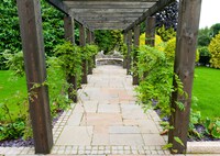 Wisteria arch