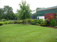 Sorbus aria