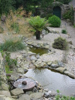 Exotic ponds