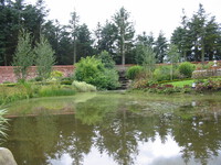 Informal ponds