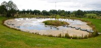 Wild ponds