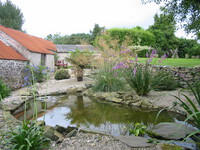 Wildlife pond